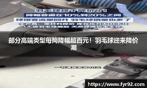 部分高端类型每筒降幅超百元！羽毛球迎来降价潮